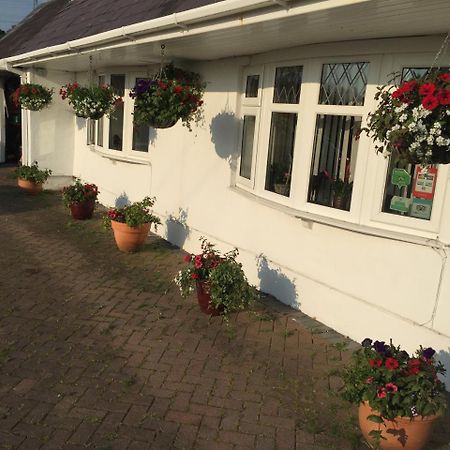 Brynawel Farm B&B Pontlliw Exterior foto